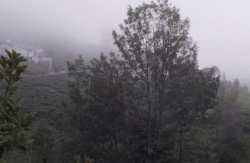 Kotagiri Cabin | The Valley Villa
