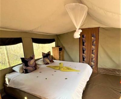 Thorny Bush Game Reserve Other | The Wild Olive Tree Camp