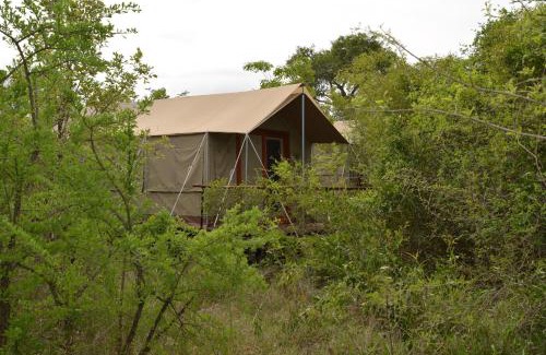 Thorny Bush Game Reserve Other | The Wild Olive Tree Camp