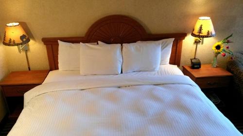 Downtown Anchorage Hotel | The Wildbirch Hotel - JdV by Hyatt
