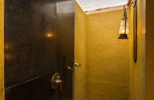 Bandipur Resort | The Windflower Jungle Resorts and Spa
