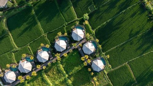 Kemenuh Resort | thewakanda Resort A Pramana Experience