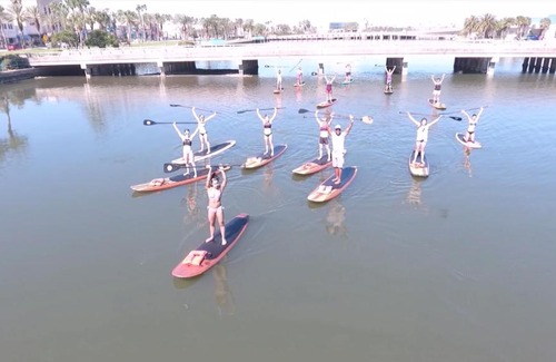 Hodgmans Daytona Boat Rental | Three Brothers Dolphin and Manatee Adventure Tour