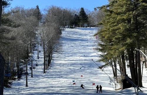 Otis Ski Chalet | Thrill & Chill Ski & Sauna In Winter Wonderland