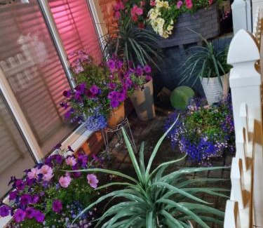 South Shore House | Tiffy's Place