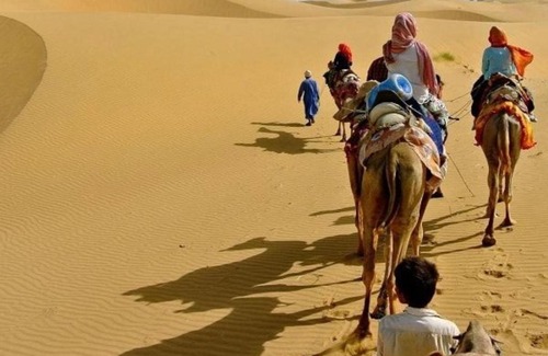 Kanoi Resort | Tiger Desert Camp Jaisalmer