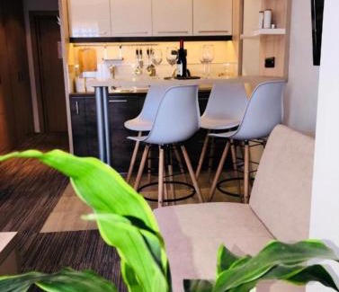 Kopaonik Apartment | Tim 135 Konaci-Angella Centar