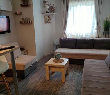 Kopaonik Apartment | Tim 135 Konaci-Angella Centar