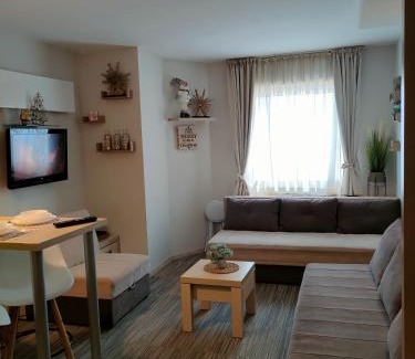 Kopaonik Apartment | Tim 135 Konaci-Angella Centar