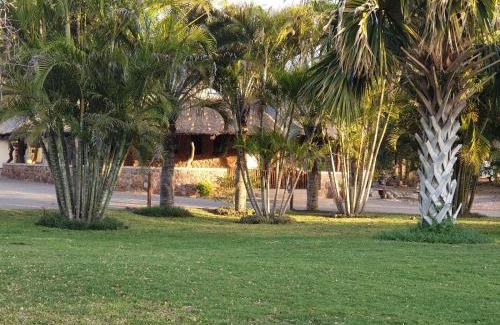 Phalaborwa Cabin | Tintshaba Safaris
