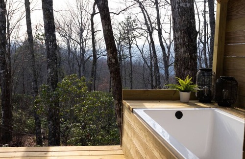 Pisgah Forest House | Tiny Blue Pisgah Forest
