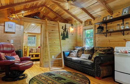 Cosby Cabin | Tiny Cabin-HOT TUB, private, quiet side of the Smokies