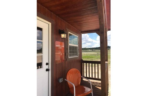 Evant Cabin | Tiny home hosted by D'Ann