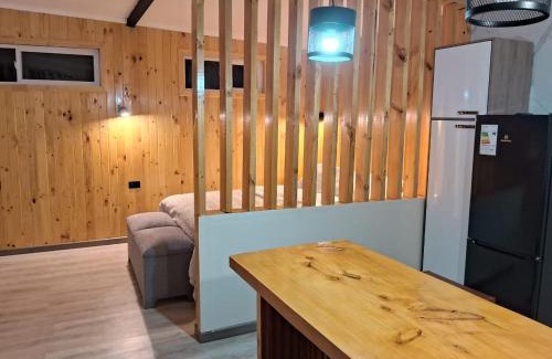 Osorno House | Tiny House Ruta 215