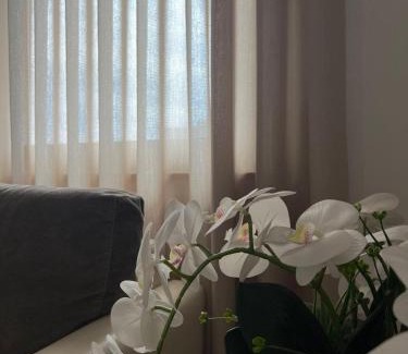 Tirana Apartment | Tirana Rentals - Astiri