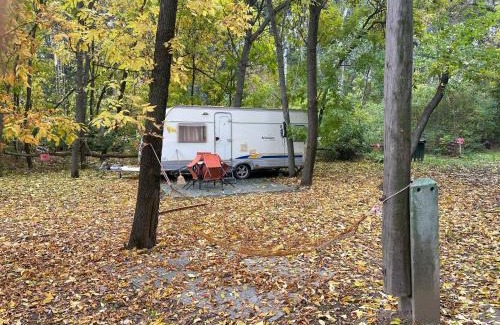 Szeged Other | Tisza-beach wild camping 5