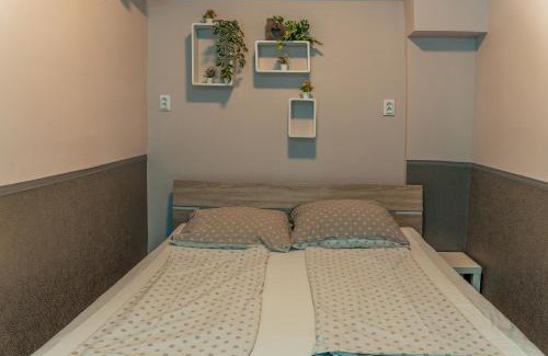 Szeged Apartment | Tisza Gyöngye Garden