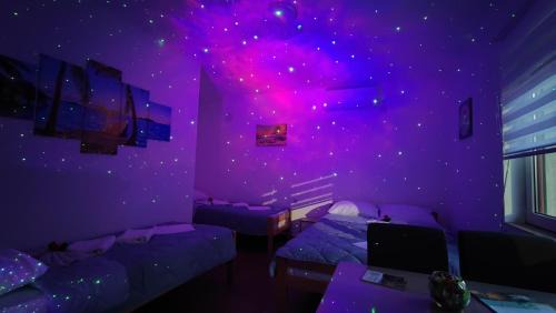 Nis Apartment | TNT accommodation