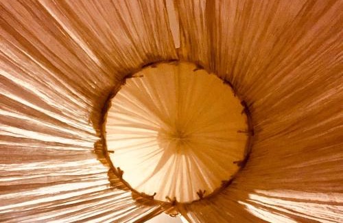 San Joaquin House | TodaVida Green Oasis