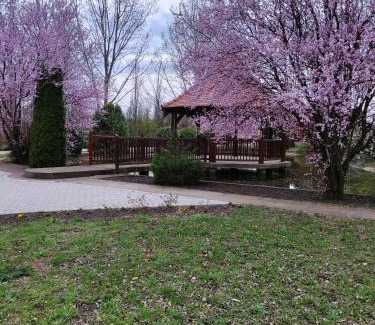 Central Banat District Apartment | Torontal
