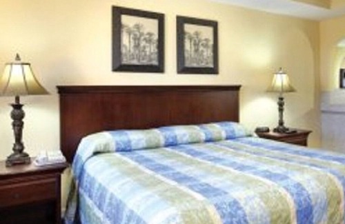 Pompano Beach Resort | Tour the Everglades!