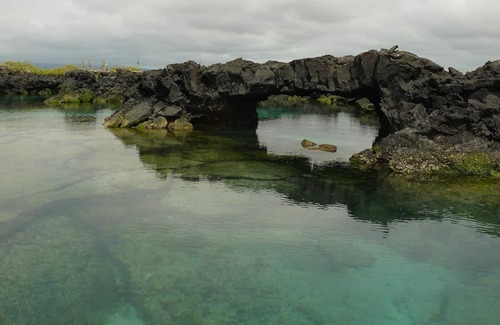 Puerto Villamil House | Tour to volcan, swim with sharks - Marriat #5