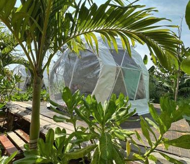 Phan Thiet Cabin | TP-HOMES PHAN THIẾT