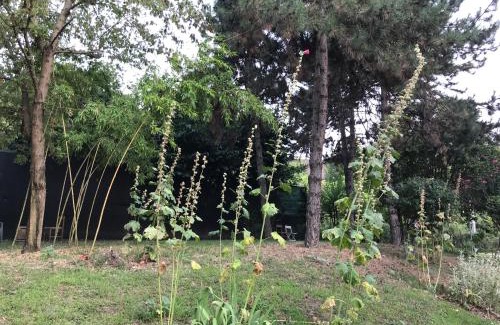 San Donato-San Vitale Apartment | Tra S.Orsola e Fiera