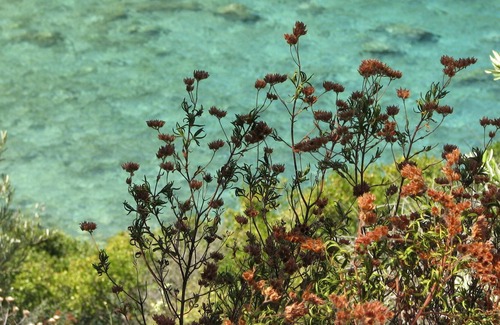 Sinarades Apartment | Traditional house, Village near relax-beach Shops Country-walks near Corfu town