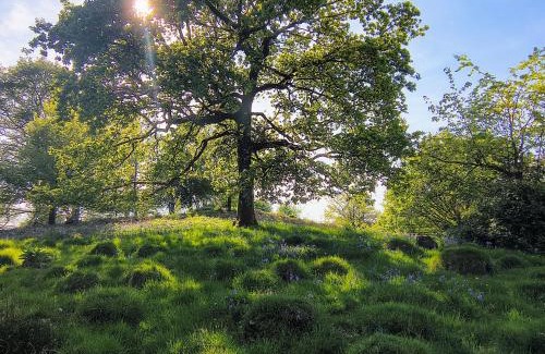 Llandovery Apartment | Tranquil getaway near Brecon Beacons