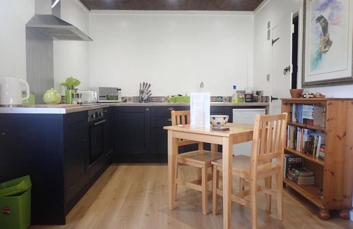 Machynlleth Cabin | Tranquil Lodge Retreat in Penegoes