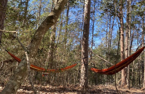 Brookeland Cottage | Tranquil Pine Retreat: Hammocks, Kayaks, Golf, WIFI, and minutes to ramps ⛳️ 🎣🥂