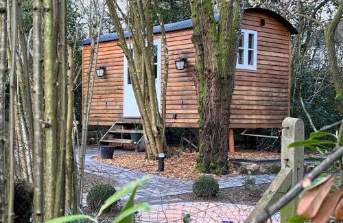 Cinderford Ski Chalet | Tranquil Spot Shepherds Hut