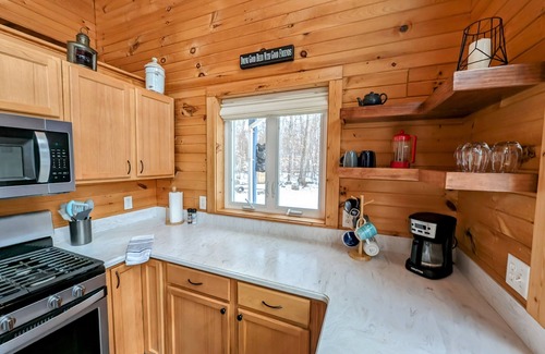 Cedar Ski Chalet | Tranquil Woodsy Getaway in Leelanau Peninsula - Golf, Wineries, Hiking, Beaches!
