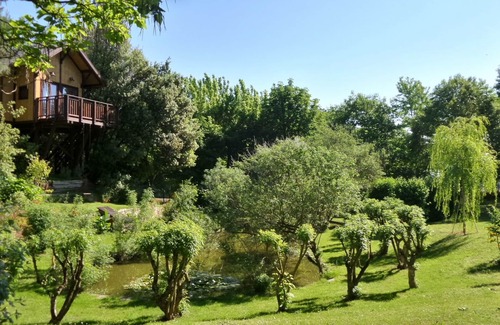 Vitellino House | Tree House Awen of La Bandita Farmhouse