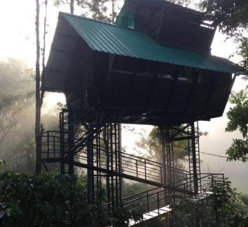 Sulthan Bathery Resort | Tree House Wayanad