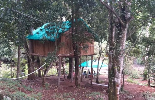 Kodaikanal House | Tree top bamboo cottage kodai