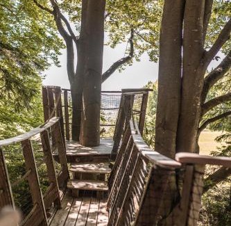 Volary Other | Treehouse Šumava