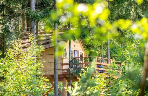 Osecna Other | Treehouse U lesa