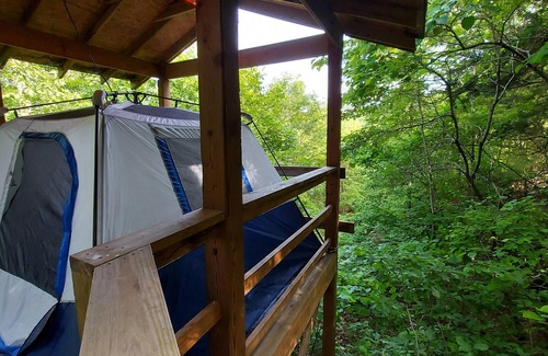 Branson RV Rental | Treetopper Fully Set up Tent Site with BBQ, Firepit, Outdoor Pool & Hiking
