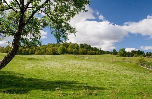Newtonmore House | Treetops