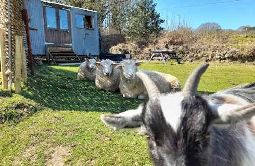 Redruth Other | Treguth Glamping Unique Experience - Themed Huts