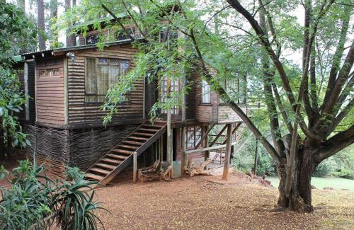 Cathkin Park Ski Chalet | Treks, Trips and Trails