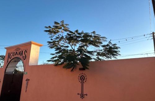 Zaragoza Apartment | Tres Iguanas Apart Hotel - New, cozy & spacious flats, short walk to beach