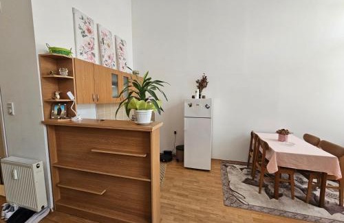 Sombor Apartment | Trg republike