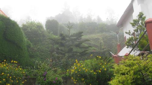 Kotagiri Hotel | Trilan Cottages - Donnington Road