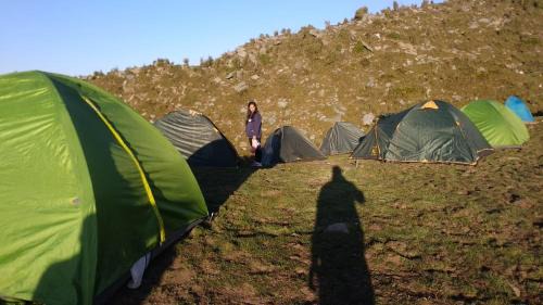 Bhagsu Nag Hotel | Triund trek and camping