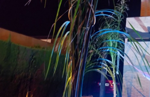 Miami Platja Villa | Tropical villa with Spa, private pool and beach at 3 minutes walking distance.