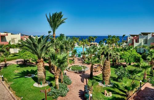 Dahab Resort | Tropitel Dahab Oasis