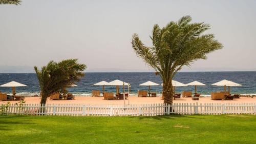 Dahab Resort | Tropitel Dahab Oasis